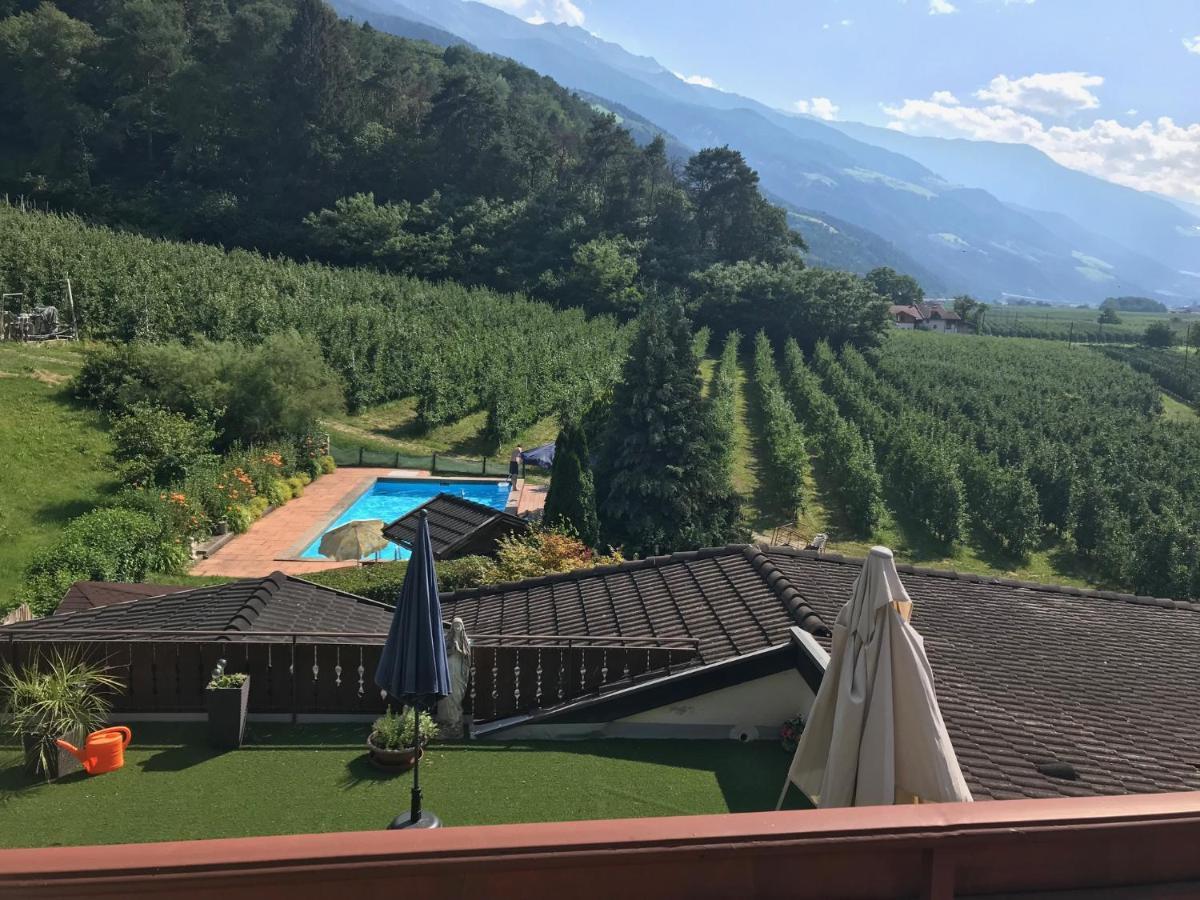 Ferienwohnung Eule 帕尔奇内斯 外观 照片
