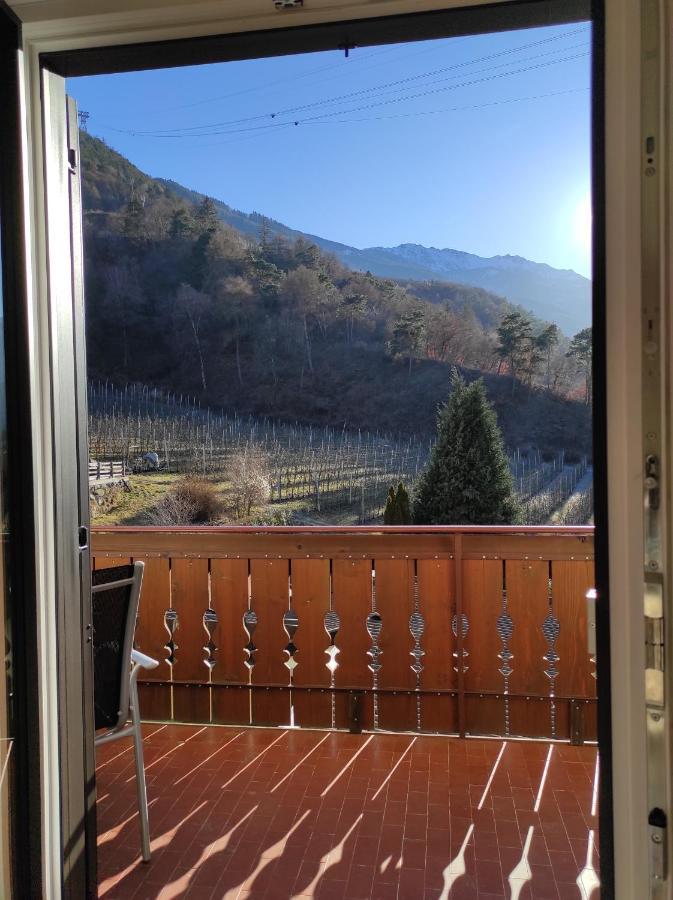 Ferienwohnung Eule 帕尔奇内斯 外观 照片